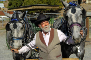 Gary, Horses & Carriage